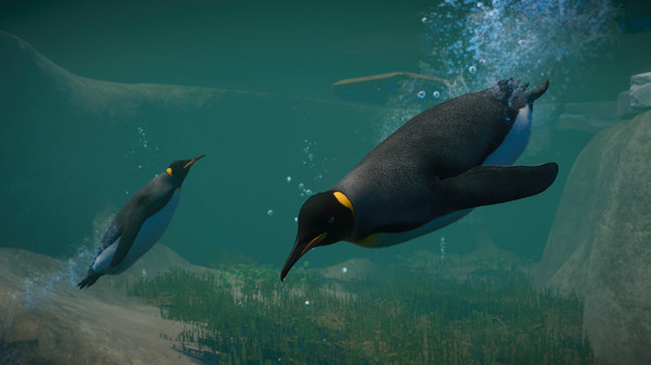动物园之星DLC 水生生物包/Planet Zoo: Aquatic Pack