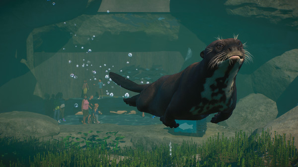动物园之星DLC 水生生物包/Planet Zoo: Aquatic Pack